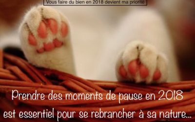 Guidance et coaching pour réussir le mois de février 2018